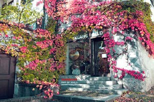 足球赛场危机四伏，团队合作方能成功