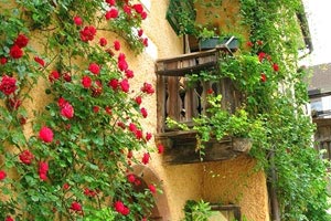 天津泰达客场战平北京国安，积分稳定