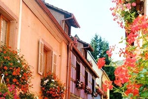 诺里奇城客场不敌，降级情景堪忧