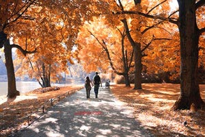 尤文图斯客场不敌对手保持榜首位置